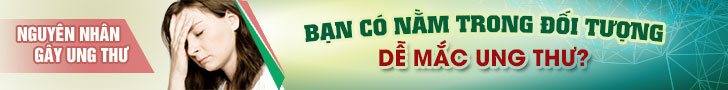 Giá bán nấm lim xanh mới nhất