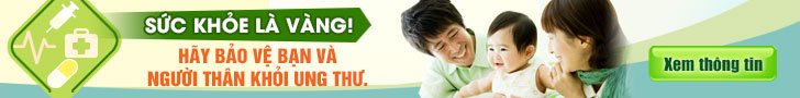 Nấm lim xanh Quảng Nam