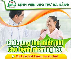 Hướng dẫn cách nấu uống nấm lim xanh