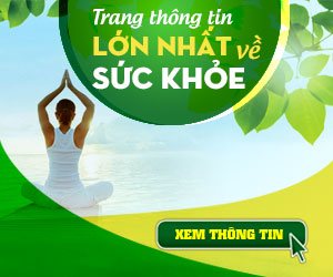 Nấm lim xanh rừng tự nhiên