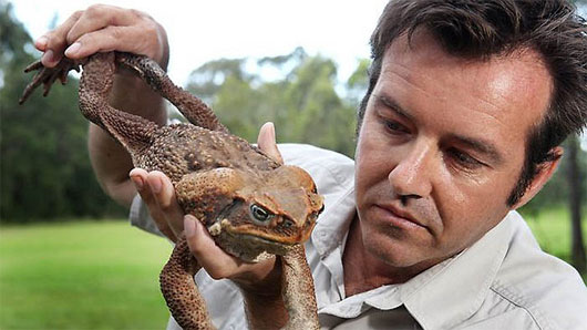 Các nhà khoa học phát hiện có thể điều trị ung thư tuyến tiền liệt