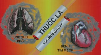 Những nguy hại tới sức khỏe từ việc hút thuốc lá
