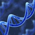 Đâu là thủ phạm gây ung thư tủy xương?