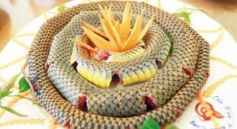 Lý giải về việc người bị ung thư tử cung sống khỏe nhờ ăn rắn