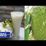 Sự thật về mãng cầu xiêm chữa ung thư | VTC