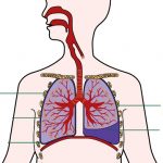 Tại sao bị tràn dịch màng phổi?
