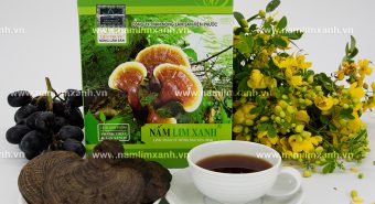 Cách chế biến nấm lim xanh sử dụng cho sức khỏe và điều trị bệnh
