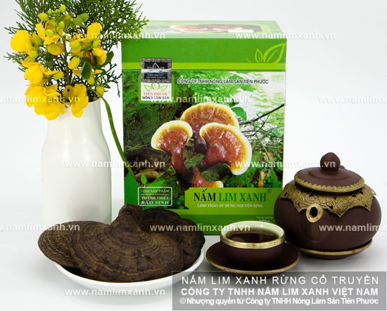 Hình ảnh về cách dùng nấm lim xanh Hình ảnh về cách dùng nấm lim xanh