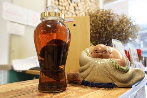Cách ngâm rượu nấm lim xanh