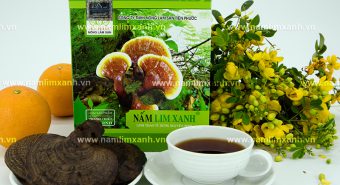 Cách sử dụng nấm lim xanh hiệu quả cho sức khỏe và điều trị bệnh