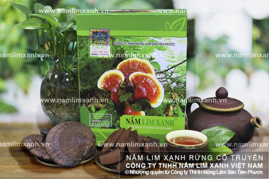Công dụng trị bệnh của nấm lim xanh