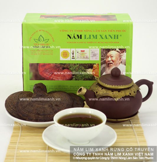 Công dụng trị bệnh của nấm lim xanh đã được khoa học chứng minh