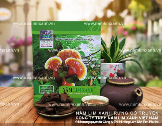 Dùng nấm lim xanh có thể điều trị thành công nhiều bệnh nan y