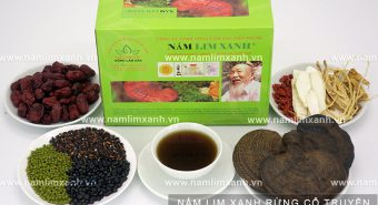 Giá bán nấm lim xanh ở Tiên Phước các thông tin về nấm lim rừng