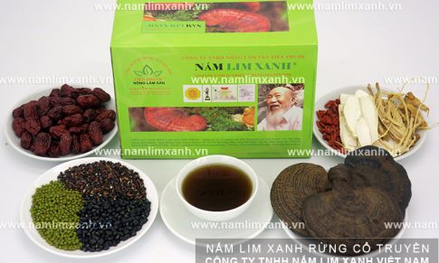 Giá bán nấm lim xanh ở Tiên Phước các thông tin về nấm lim rừng