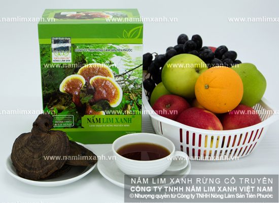 Hình ảnh cây nấm lim xanh chính hãng