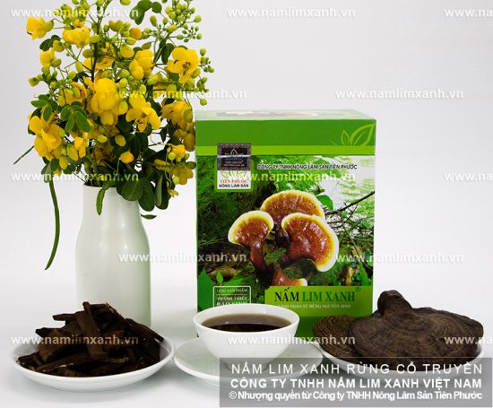 Hình ảnh nấm lim xanh
