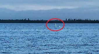 Quái vật hồ Loch Ness xuất hiện gây xôn xao ở Nga