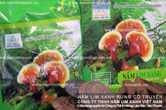 Hình ảnh về cách dùng nấm lim xanh hiệu quả