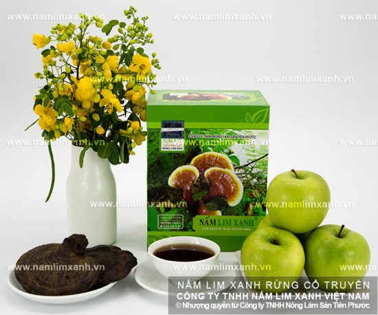 Hình ảnh về nấm lim xanh