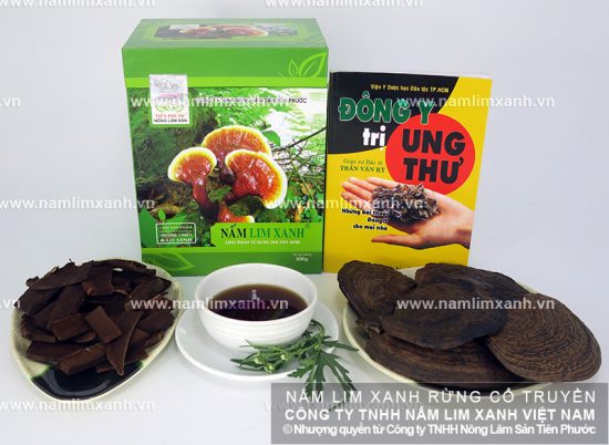 Hình ảnh về nấm lim xanh