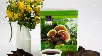 Khắc phục suy giảm sinh lý phụ nữ từ nấm lim xanh rừng tự nhiên