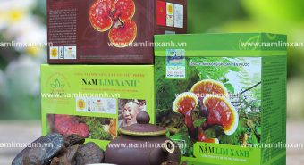 Nấm lim xanh cổ truyền chữa bệnh xơ gan và những lưu ý sử dụng