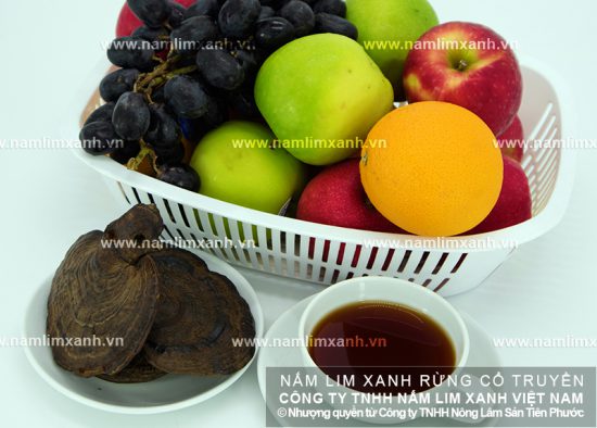 Nấm lim xanh cổ truyền mới có tác dụng điều trị bệnh