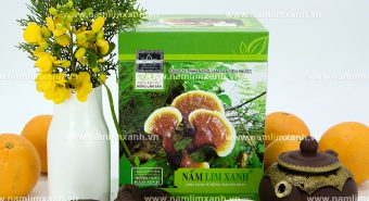 Những lưu ý không thể bỏ qua khi sử dụng nấm lim xanh đúng cách