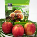 Nấm lim xanh hỗ trợ điều trị ung thư vòm họng hiệu quả