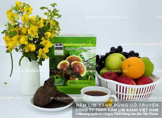 Nấm lim xanh hỗ trợ điều trị ung thư vú hiệu quả