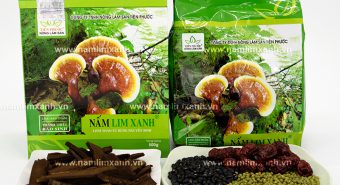 Thảo dược hỗ trợ điều trị ung thư vú từ nấm lim xanh rừng tự nhiên