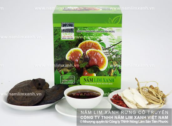 Hình ảnh về nấm lim xanh mua ở đâu? Hình ảnh về nấm lim xanh mua ở đâu?