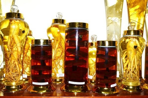 Hình ảnh nấm lim xanh ngâm rượu