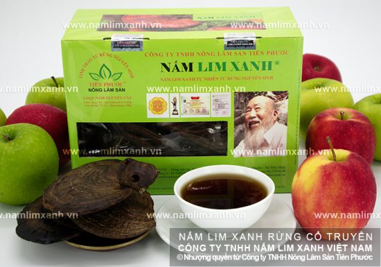 Đẩy lùi quá trình lão hóa với nấm lim xanh Quảng Nam Đẩy lùi quá trình lão hóa với nấm lim xanh Quảng Nam