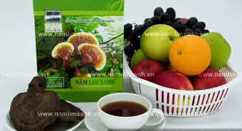 Nghiên cứu tác dụng điều trị ung thư của nấm lim xanh Tiên Phước