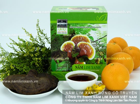 Nấm lim xanh tự nhiên chính hãng