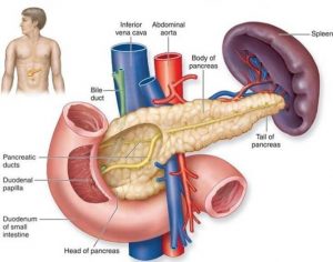 Phương pháp chẩn đoán ung thư tụy ngoại tiết