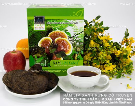Sử dụng nấm lim xanh