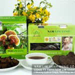 Nấm lim Quảng Nam có tác dụng gì với sức khỏe và chữa bệnh gì?