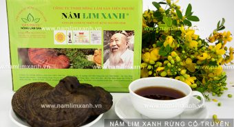 Tìm hiểu tác dụng của nấm lim xanh đối với sức khỏe và làm đẹp