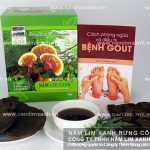 Nấm lim xanh hỗ trợ phục hồi bệnh tai biến mạch máu não thế nào