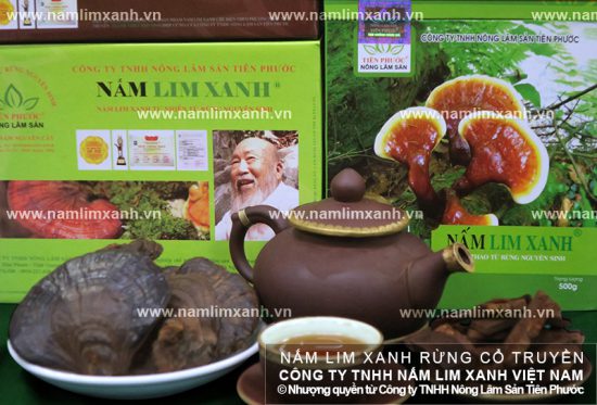 Ung thư giai đoạn đầu, dùng nấm lim xanh có thể dùng để hỗ trợ