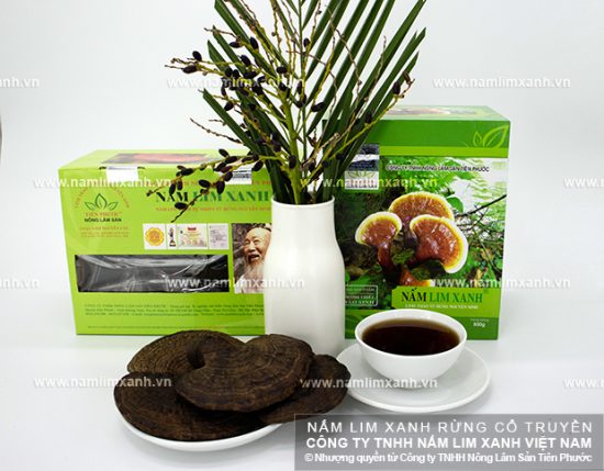 Uống nấm lim xanh Uống nấm lim xanh