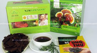Uống nấm lim xanh có tác dụng gì và nấm lim xanh chữa bệnh gì tốt?