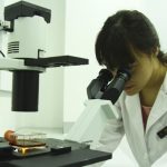 Tầm soát ung thư buồng trứng bằng những phương pháp nào?