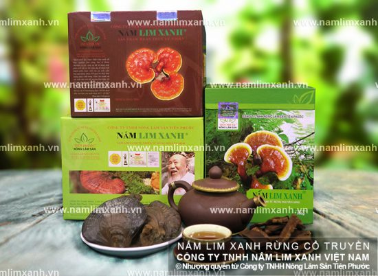 Các nhà khoa học Nhật Bản nghiên cứu công dụng của nấm lim xanh Tiên Phước Các nhà khoa học Nhật Bản nghiên cứu công dụng của nấm lim xanh Tiên Phước