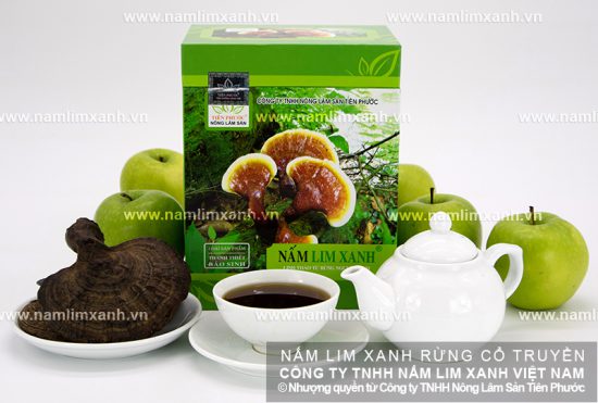 Nấm lim xanh Tiên Phước giúp hỗ trợ điều trị ung thư Nấm lim xanh Tiên Phước giúp hỗ trợ điều trị ung thư