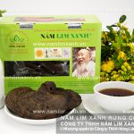 Cách bảo quản nấm lim xanh tránh mốc và xử lý nấm lim xanh bị mốc