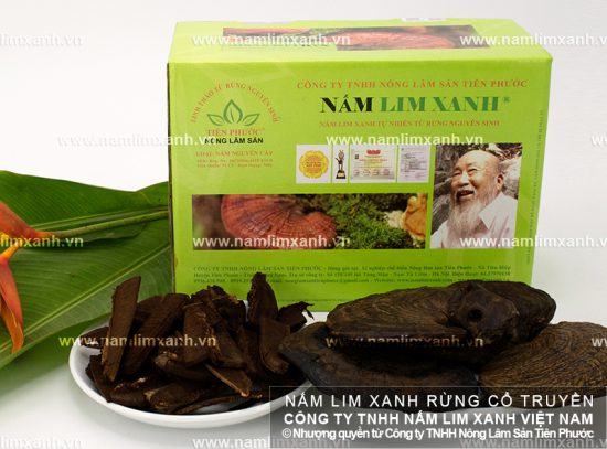Cách dùng rượu nấm lim xanh chữa sinh lý yếu